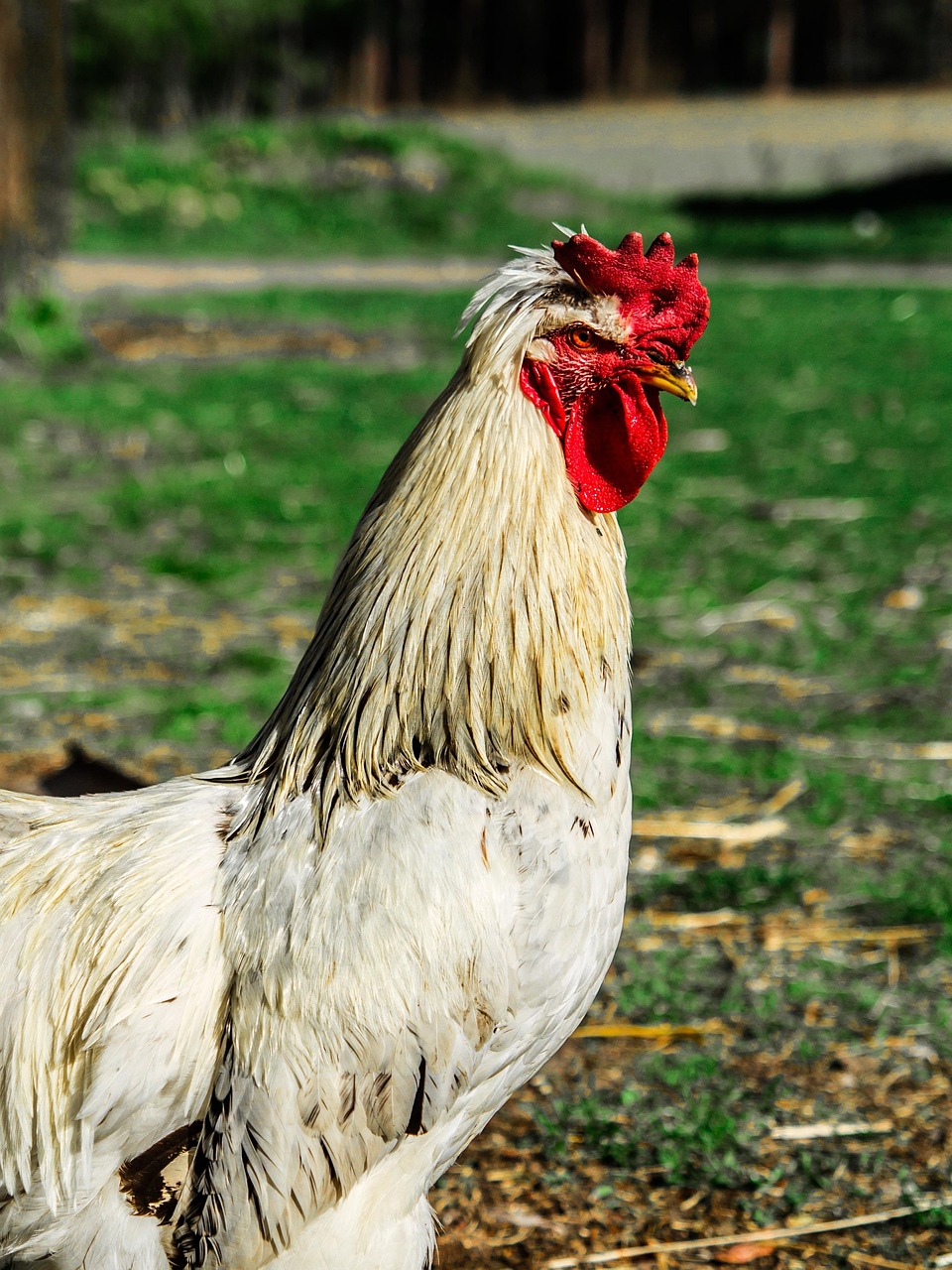 개인파산신청자격 snob