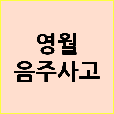 영월 음주운전 변호사