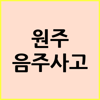 원주 음주운전 변호사
