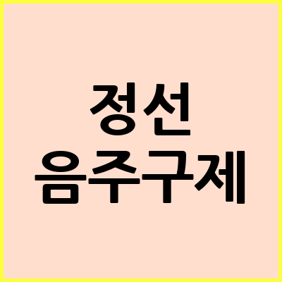 정선 음주운전 변호사