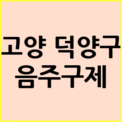 고양 덕양구 음주운전 변호사