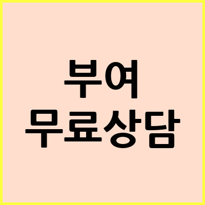 부여 음주운전 변호사